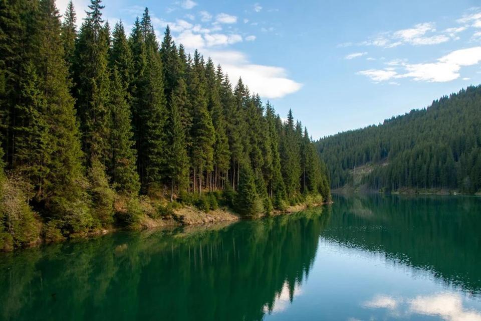 Camping Aviator, Numai Teren, Campare Pentru Rulote Autorulote Personale, Campingul Nu Are Rulote !!! Buşteni Eksteriør bilde